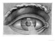 Eye Enclosing the Theatre at Besancon, France, 1847
