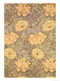William Morris Pósteres