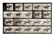 Eadweard Muybridge Posters