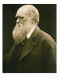 Julia Margaret Cameron Affiches