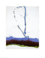 Beside the Sea No. 22, c.1962 Art Print by Robert Motherwell