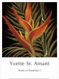 Yvette St. Amant Pósteres