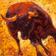 Bulls II Lámina por John Lopez