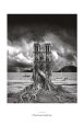 Stumped Art Print by Thomas Barbey