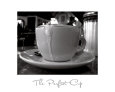 The Perfect Cup Umělecká reprodukce od Scott Amour