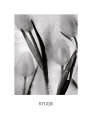 Tulips on Ice Art Print by Ryuijie