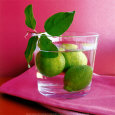 Food (Color Photography) Posters