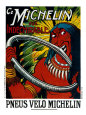 Michelin, Indian Bicycle Tire