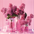 Les Lilas Lámina