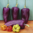 Fotografías en color de comida Pósteres
