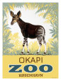 Okapi Copenhagen Zoo Giclee-vedos