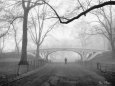 Gothic Bridge, Central Park, New York City Stampa artistica di Henri Silberman