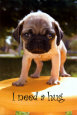 Mopse Poster