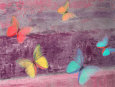Lente Louisa Affiches