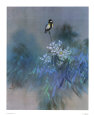 Perched Bird