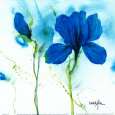 Lily II Kunsttryk af Marthe