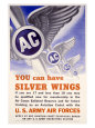 WWII, AAF You Can Have Silver Wings