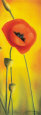 Blushed Poppy Stampa artistica di Caroline Wenig