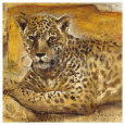 Wild Life II Lámina por Joadoor