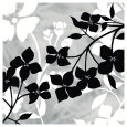 Shadow Composition Lámina por Kate Knight