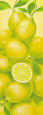 Swinging Lemon Art Print by Susanne Bach