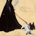 Ladies' Companion Art Print by Steff Green
