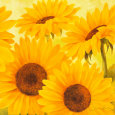 Sun in the City Art Print by Susanne Bach