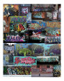 Murals (Color Photography) Posters