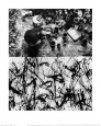 Pollock, Jackson (Portrait) Posters