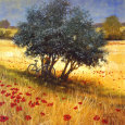 Under the Tree Lámina por Steve Thoms