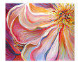 Pink Poppy Lámina giclée por Nadine M. Rippelmeyer