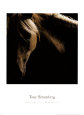Temperament: Pferd Kunstdruck von Tony Stromberg
