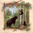 Black Bears II Lámina por Anita Phillips