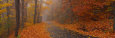 Panoramas rurales Pósteres