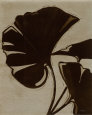 Cheryl Martin Posters