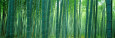 Panoramic Images Affiches