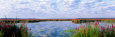 Montezuma National Wildlife Refuge, New York State, USA Lámina fotográfica por Panoramic Images