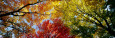 Panoramic Images Pósteres