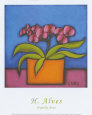 Orquidia Rosa
