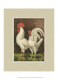 Cassell's Poultry Book Posters