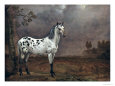 The Piebald Horse, 1653