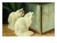 White Cats Watching Goldfish