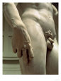David by Michelangelo Buonarroti, 1501-04 reproduction procédé giclée