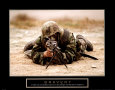 Bravery Art Print