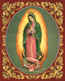 Lady of Guadalupe Art Print by Vincent Barzoni