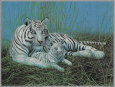 Bengal Tiger with Cubs Lámina por Matherly