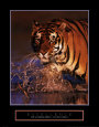 Stuart Westmoreland Posters