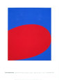 Ellsworth Kelly Poster