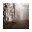Photographies de la campagne en noir et blanc Posters