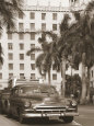 Black Car and Palm Trees Reproduction d'art par Nelson Figueredo